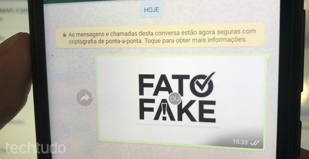Learn to report fake news and inappropriate messages on WhatsApp Photo: Rodrigo Fernandes / dnetc