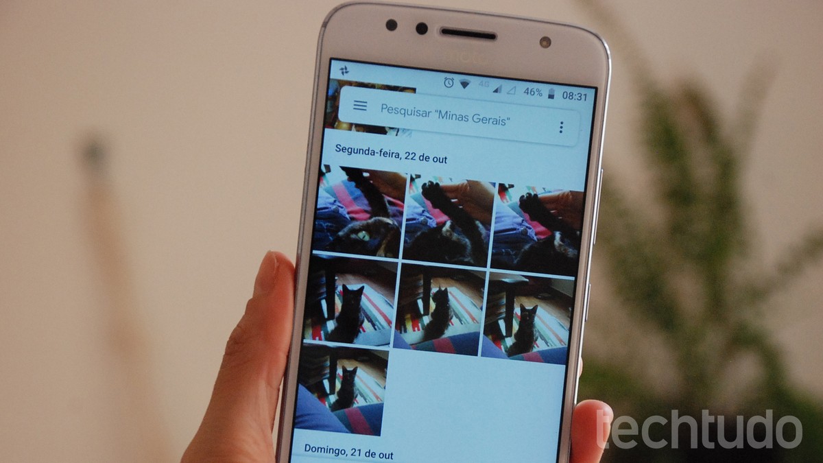 Google Photos gets stories with Instagram style memories; know how to use | albums and organizers