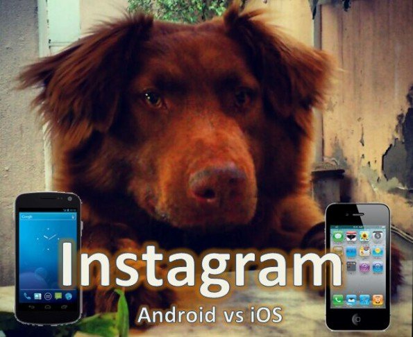 Instagram Android vs Instagram iOS: what differences h?
