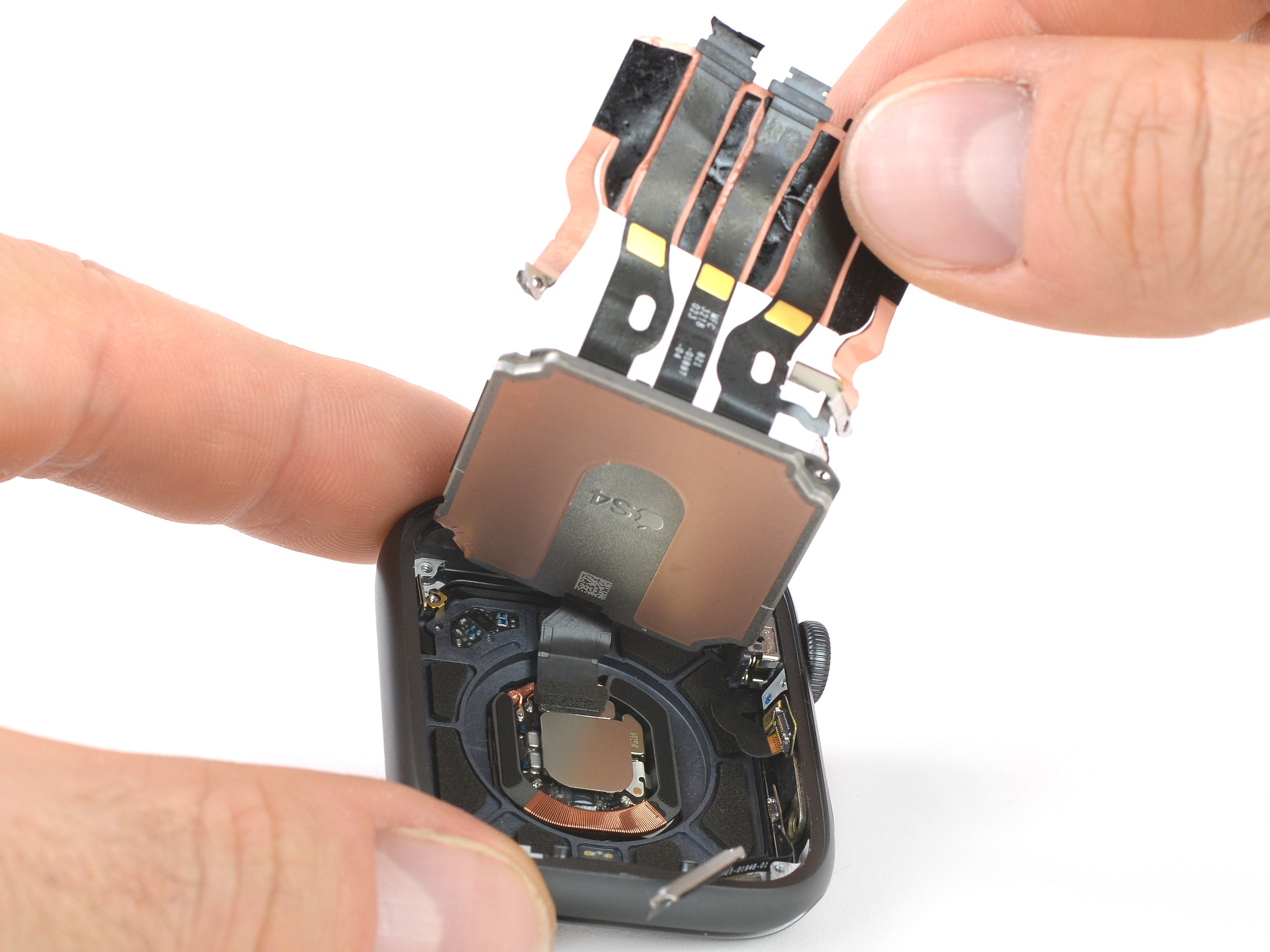Apple Watch Series 4 Disassembly