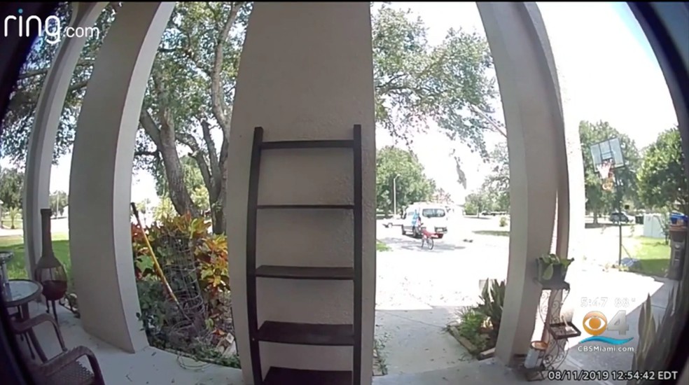 Then the Amazon delivery man rides his bicycle riding the housewife's eleven-year-old daughter Photo: Reproduo / CBS Miami 