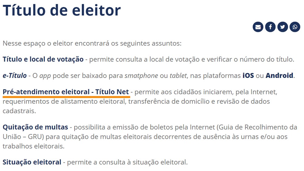 On the TSE website, select "Electoral Assistance - Ttulo NET" Photo: Reproduction / Ana Letcia Loubak