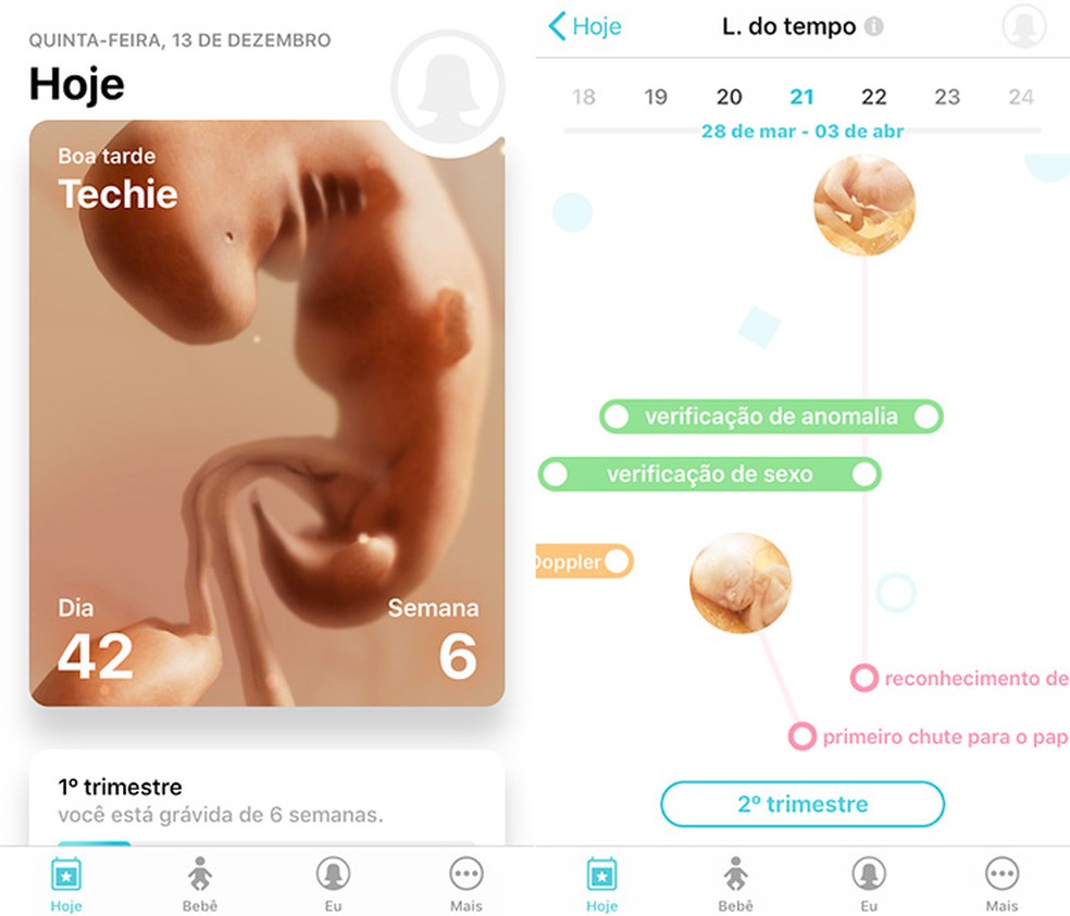 Pregnancy Timeline + helps you remember exams and preparations for your baby's arrival Photo: Reproduction / Amanda de Almeida