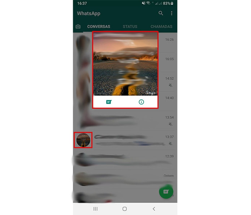 If the photo is blank, it may mean that the other WhatsApp user does not have his saved number Photo: Playback / Fernanda Lutfi