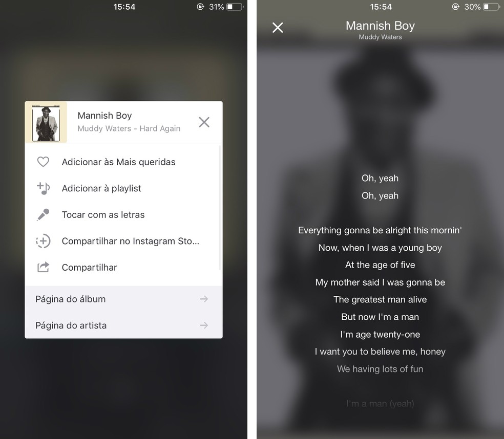 Deezer shows lyrics in iPhone app Photo: Reproduction / Rodrigo Fernandes