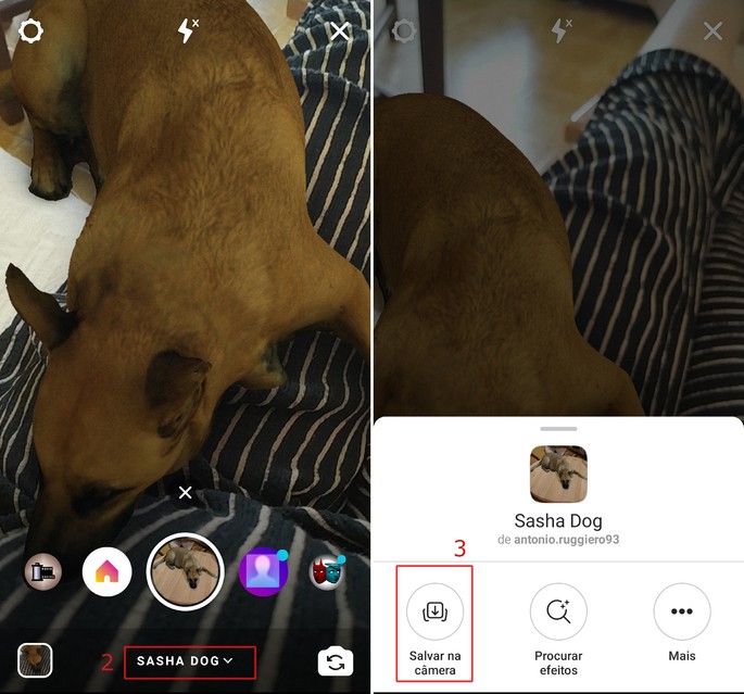 Instagram dog filter Sasha Dog