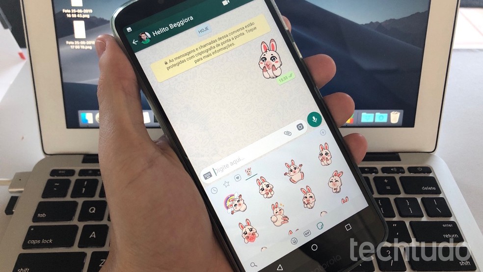 Learn how to install and upload cute stickers on WhatsApp Photo: Helito Beggiora / dnetc