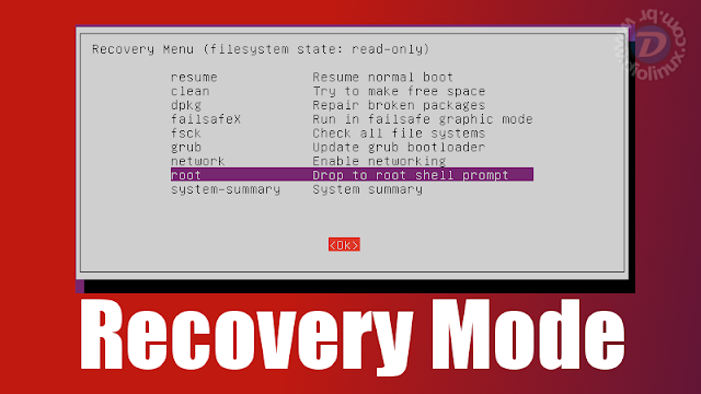 Linux Recovery Mode