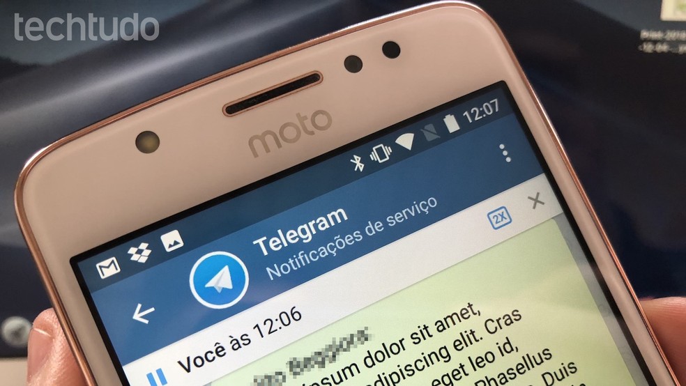 Telegram: Media received by the app is not so safe Foto: Helito Beggiora / dnetc