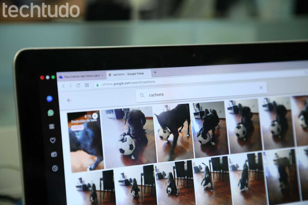 Tutorial shows you how to create themed videos using Google Photos on web and mobile Photo: Carolina Ochsendorf / dnetc