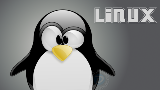 Linux, the most popular system in the world