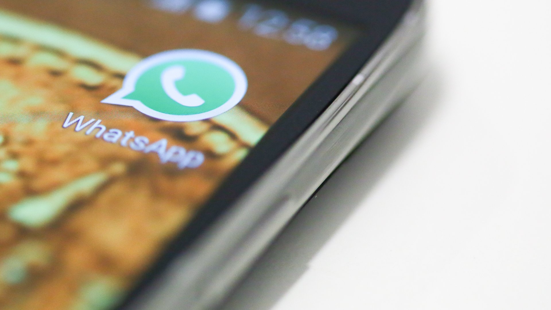 The 5 Must-Have WhatsApp Contacts Trolls