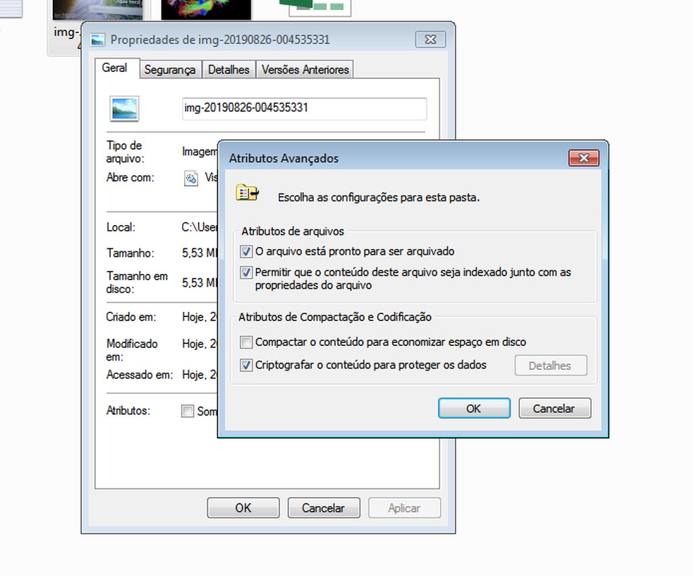 Windows encryption tool can bar file access Photo: Playback / dnetc