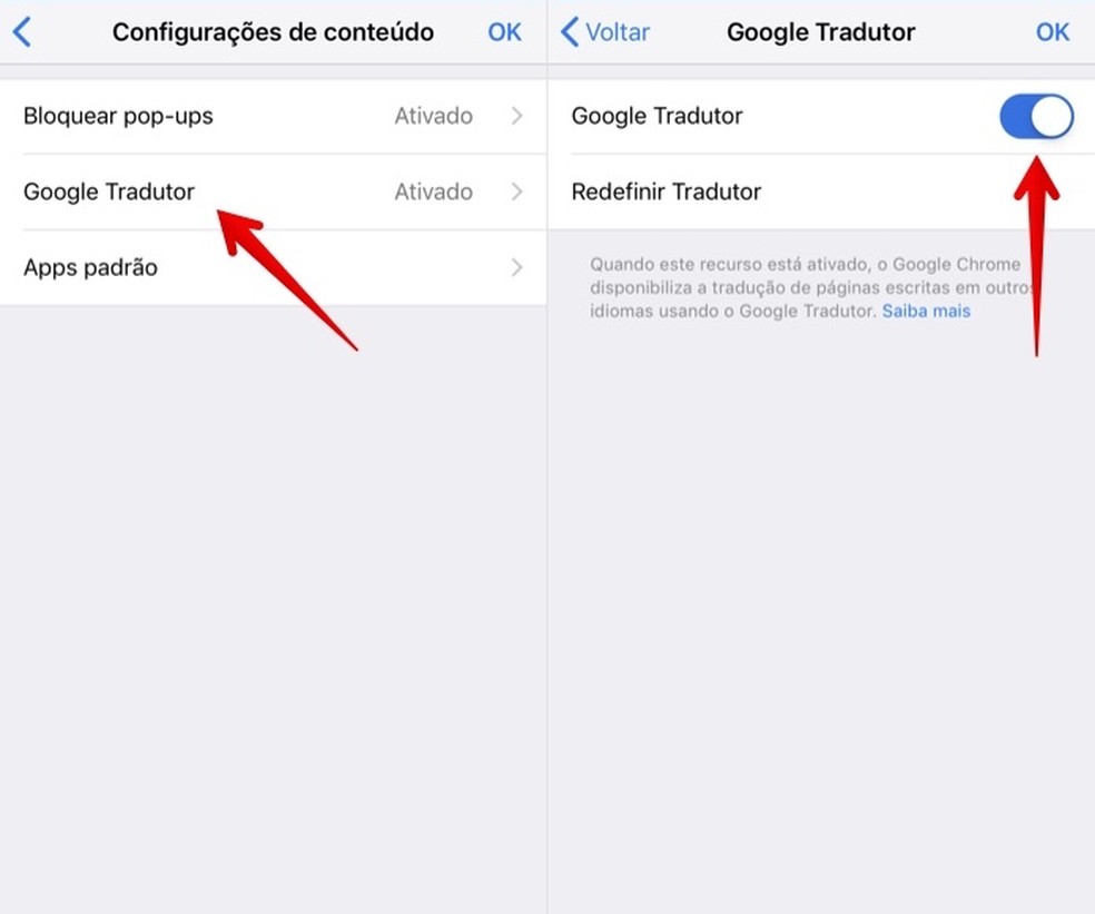 Enable integration with Google Translate Photo: Reproduction / Helito Beggiora