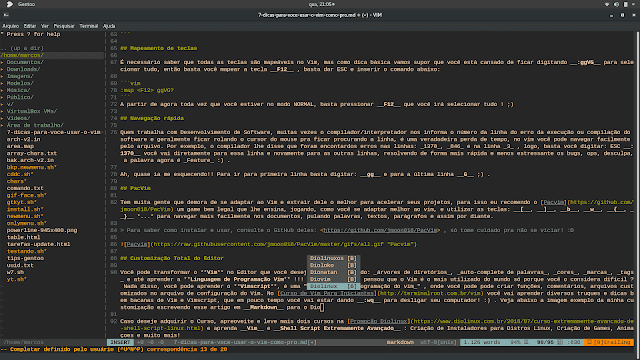 Writing the article in VIM