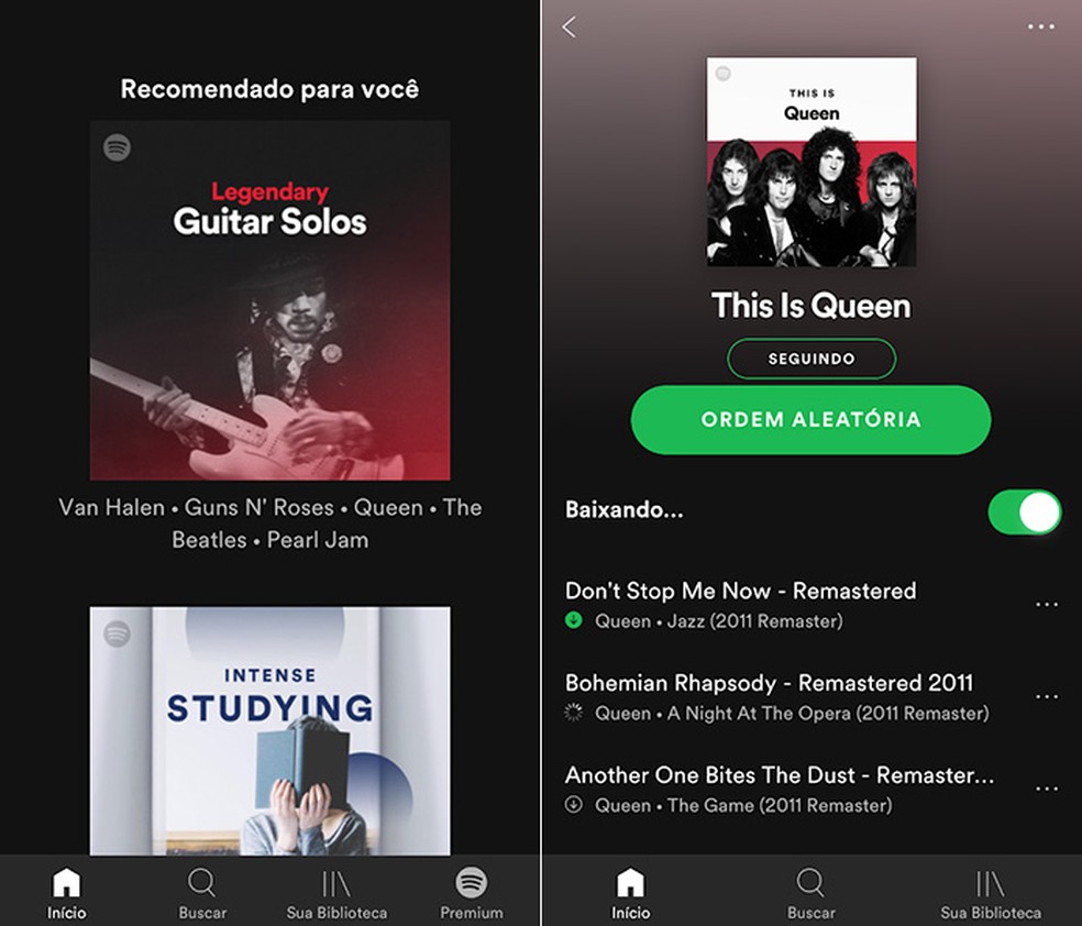 Popular music streaming app, Spotify lets you download up to 10,000 songs per device Photo: Playback / Amanda de Almeida