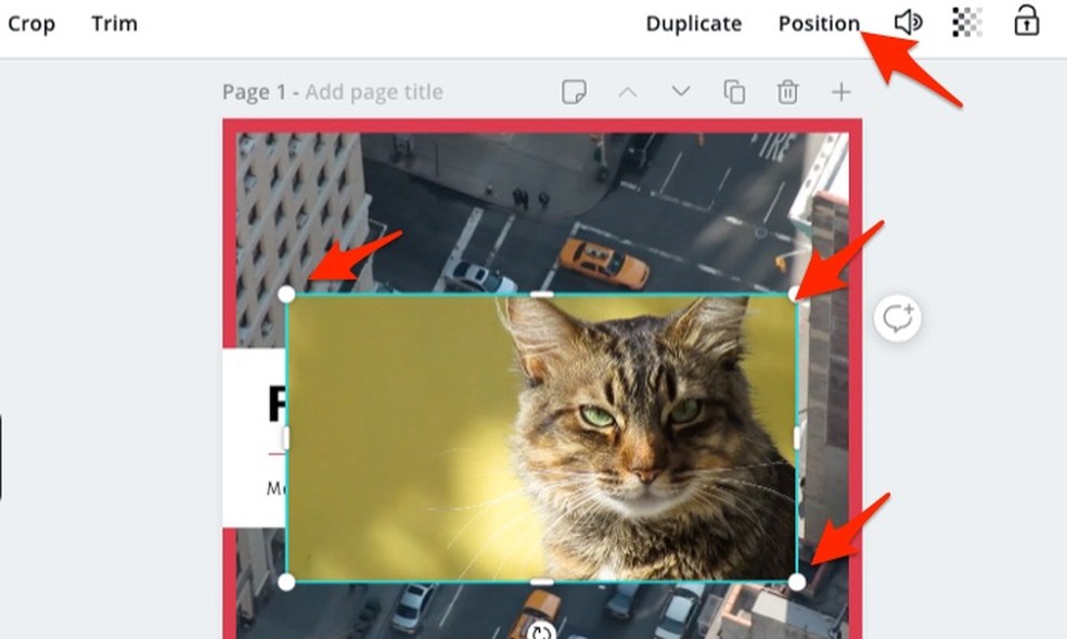 When resizing videos inserted in an art model in the online service Canva Photo: Reproduo / Marvin Costa