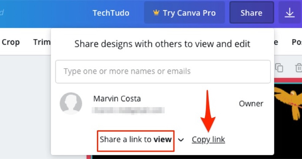 When copying a video sharing link edited by the online service Canva Photo: Reproduo / Marvin Costa