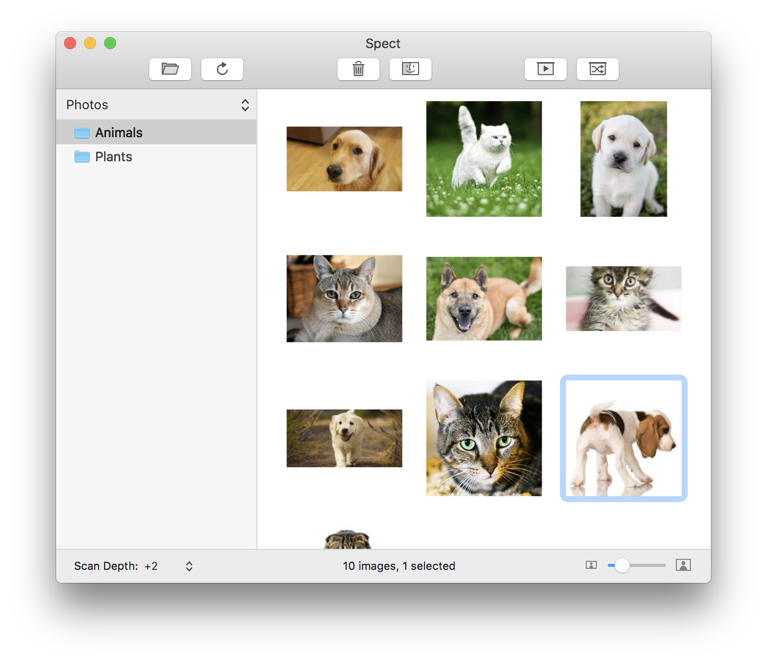 Easily browse all the images on your Mac with the Spect app