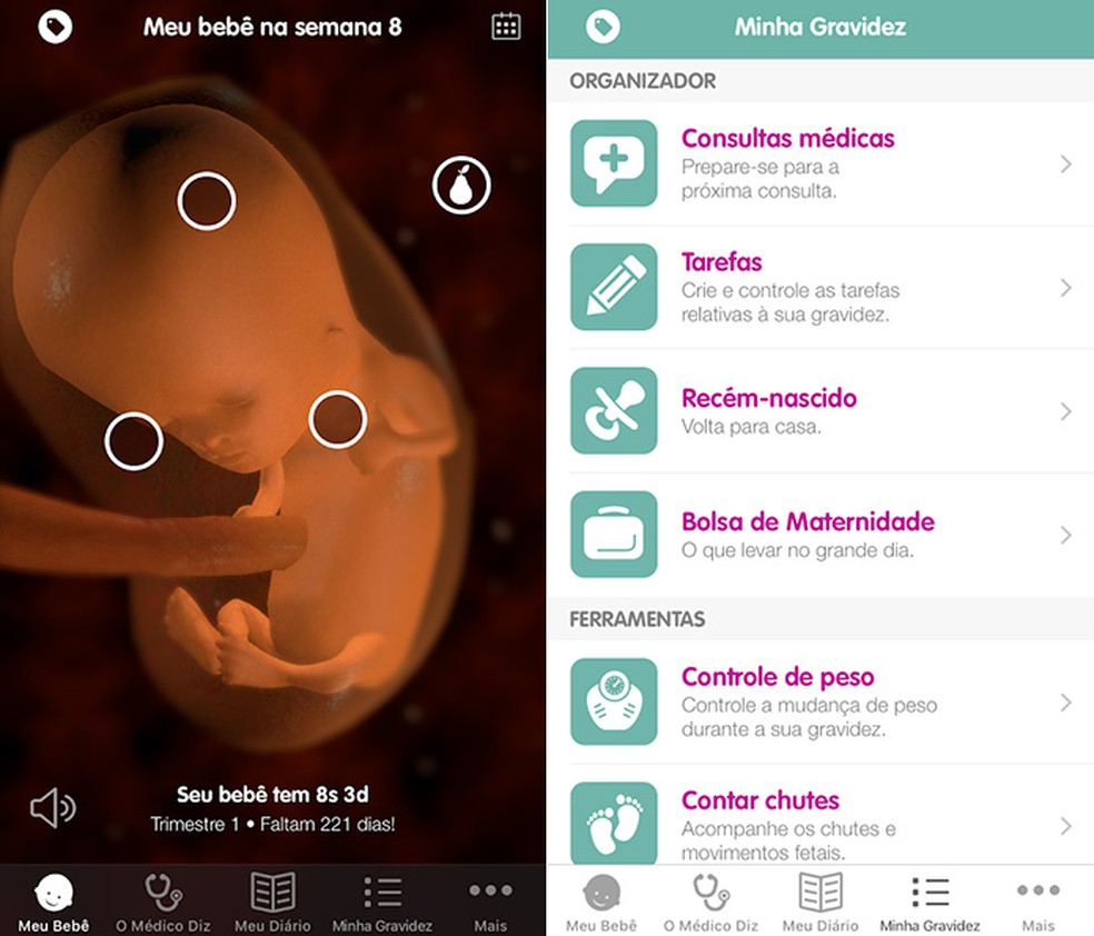 The impressive graphic features of Pregnancy - Sprout are the great highlight of this application Photo: Amanda de Almeida / Reproduo