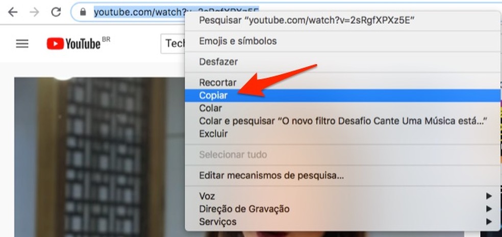 Copy the URL of a YouTube video in the browser address bar Photo: Reproduo / Marvin Costa