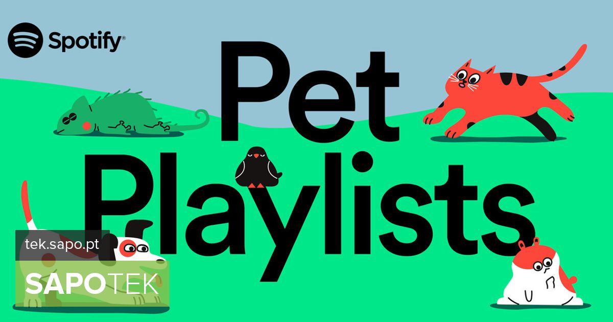 Spotify lets you make a list of songs for your pet