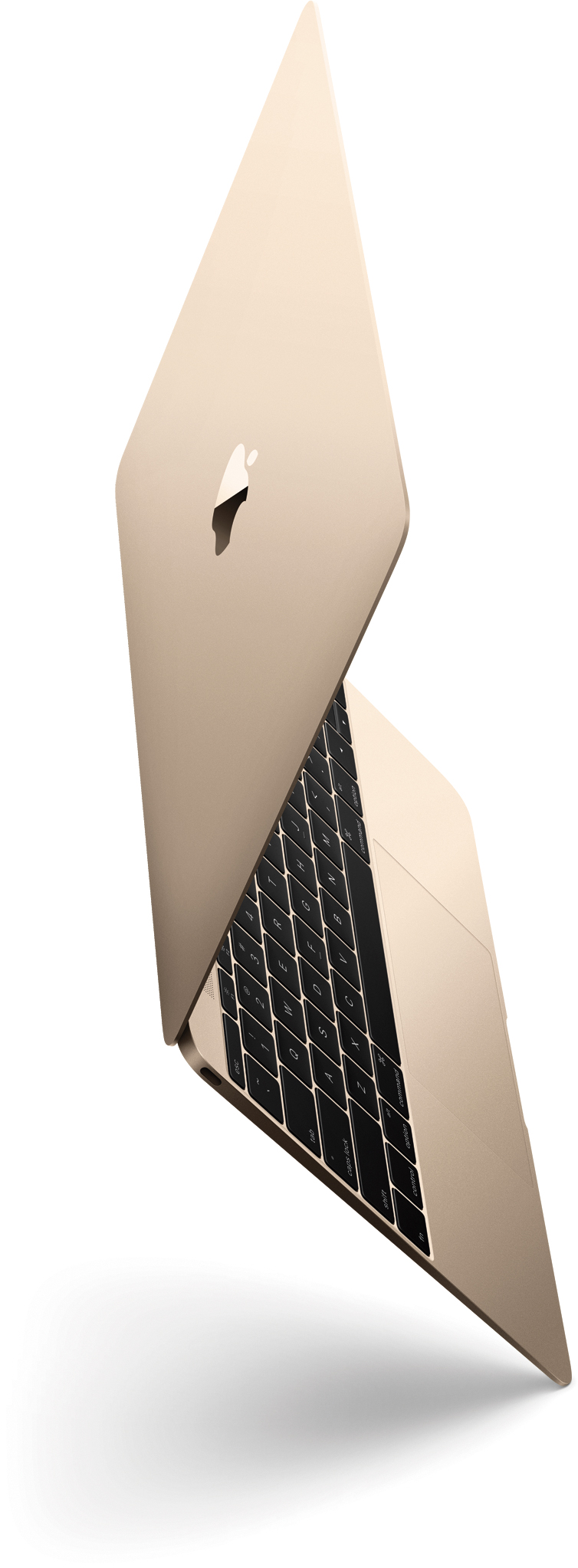 Golden and tilted MacBook