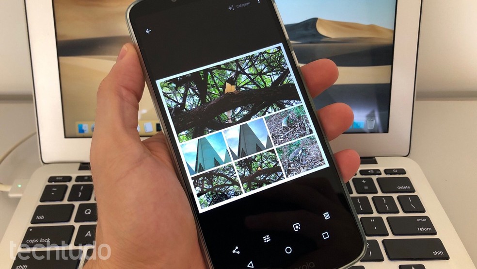 Learn how to create collages with the Google Photos app. Photo: Helito Beggiora / dnetc