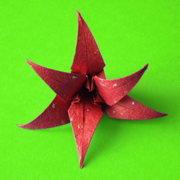 Origami Flowers app icon