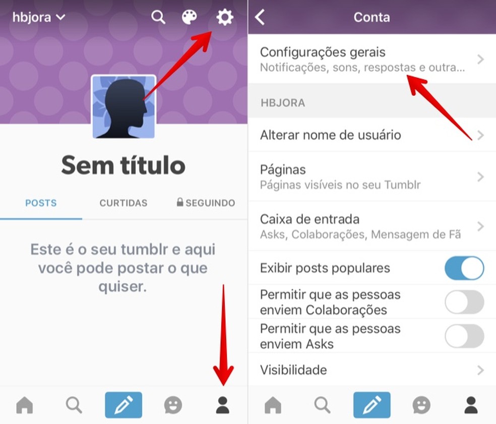 Access Tumblr settings on your cell phone Photo: Reproduction / Helito Beggiora
