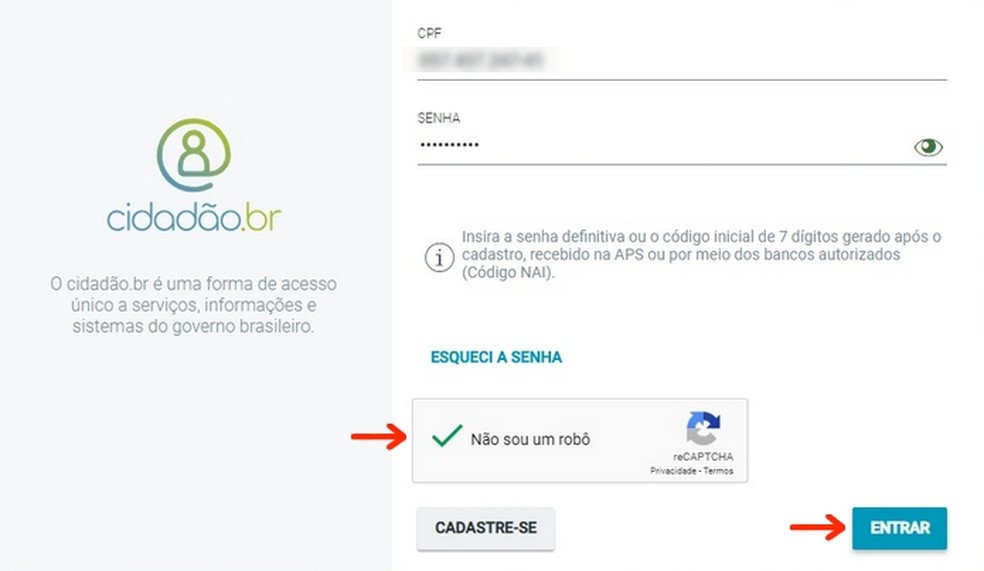 Access the Emprega Brasil portal with registration data at Cidado.br Photo: Reproduo / Raquel Freire