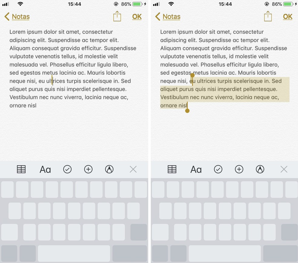 iOS has a "hidden" feature that allows you to move the cursor and select texts quickly Photo: Reproduo / Rodrigo Fernandes