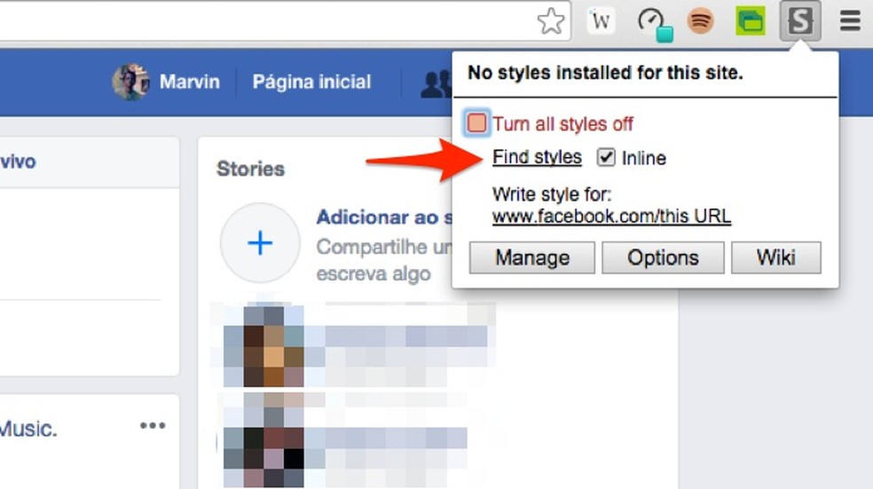 When searching for themes to add to Facebook with the extensive Stylus for Google Chrome Photo: Reproduo / Marvin Costa