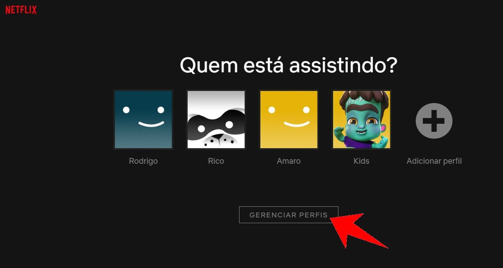 Edit Netflix profiles to exchange cones Photo: Reproduo / Rodrigo Fernandes