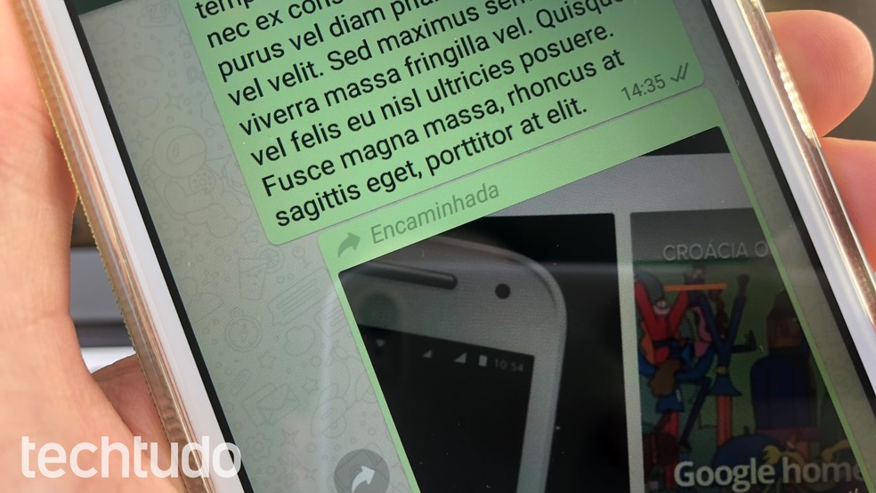 Learn to avoid the message forwarding alert on WhatsApp Photo: Helito Bijora / dnetc