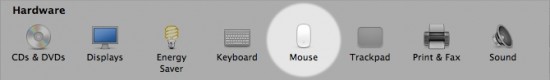 Magic Mouse on the Panel
