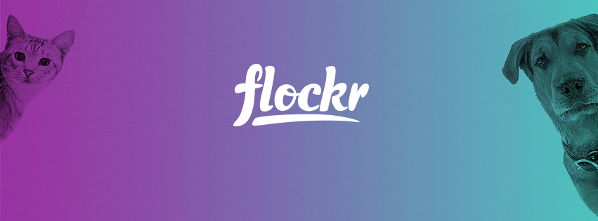 Screenshot do app Flockr