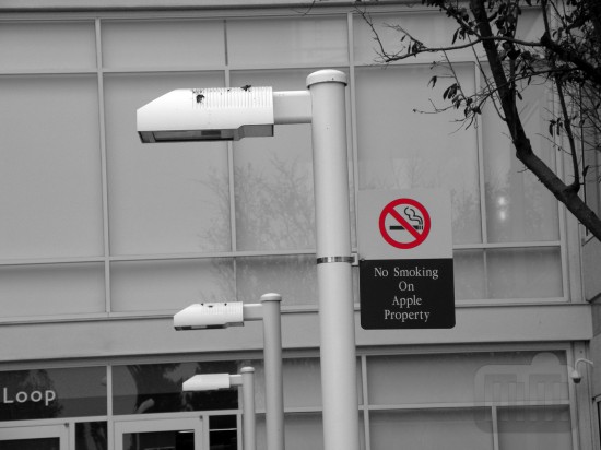 Apple probe cigarette on its campus in Cupertino
