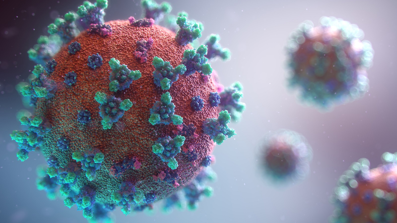 Windows wins app for you to monitor new coronavirus pandemic