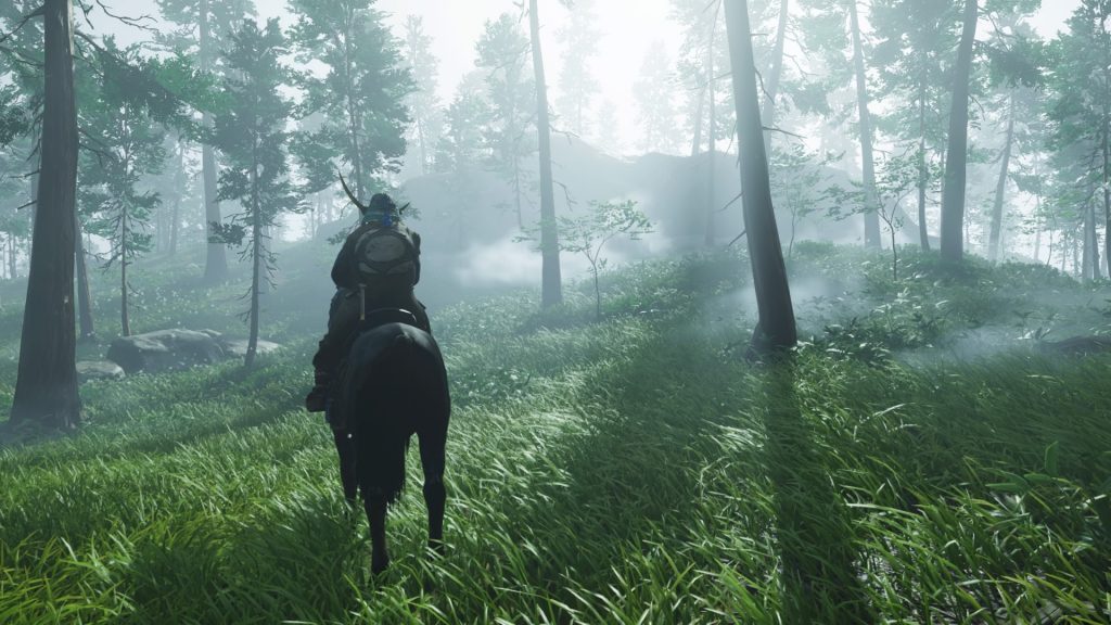 Jin, on his horse, watches the forest fog.