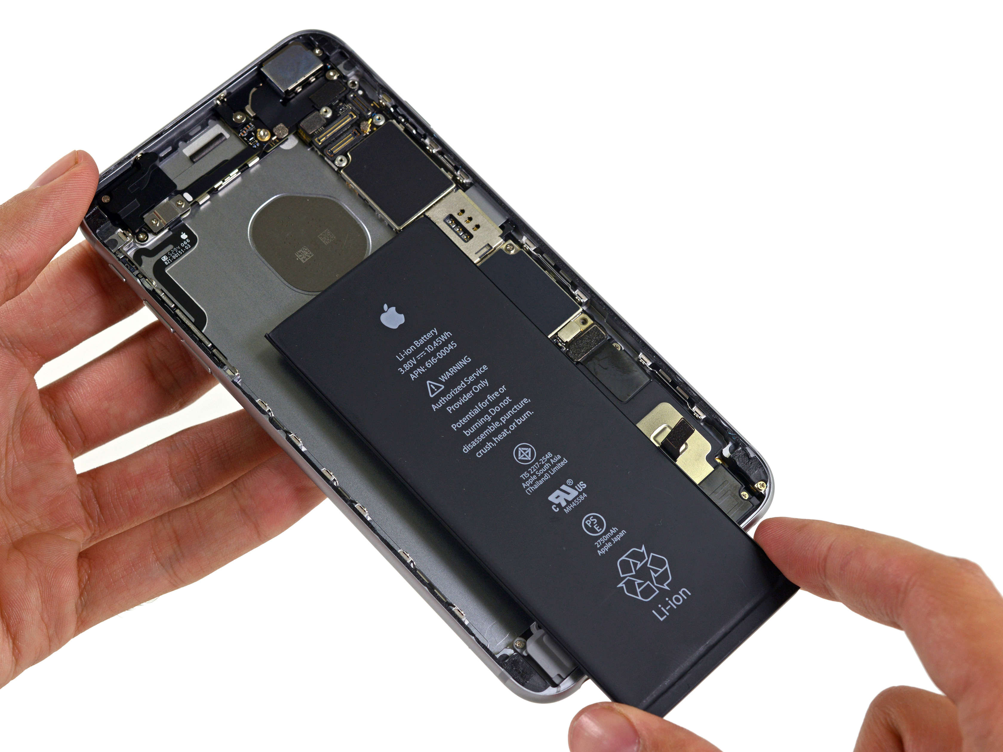 iPhone 6s Plus disassembled by iFixit