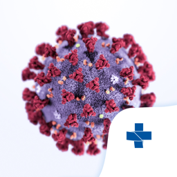 Coronavirus - SUS app icon