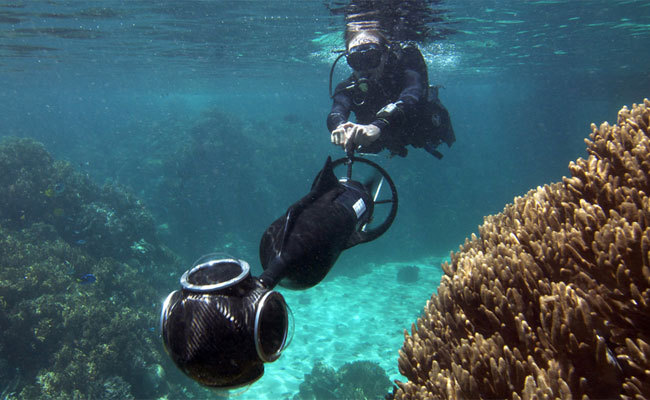 Google SeaView: the underwater version of Street View