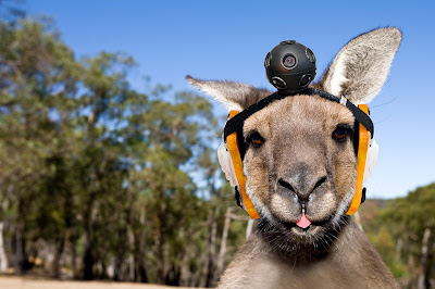 Google to use kangaroos in Australia’s Street View