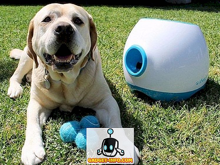 12 cool gadgets you should buy for your pet
