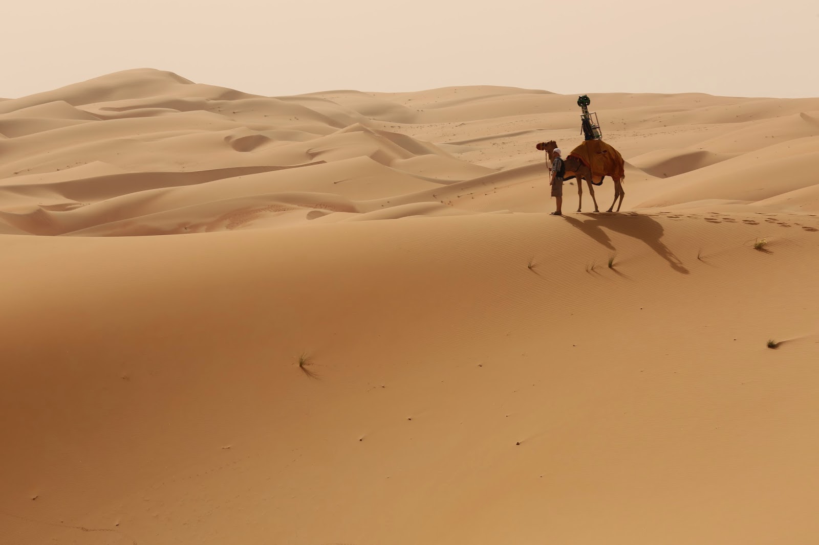 Google uses camel to record desert images in UAE